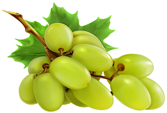 Grapes-Green